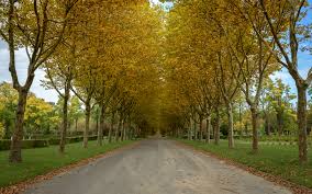 pompes-funebres-musulmanes-villejuif